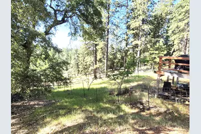 25750 Aspen Court, Volcano, CA 95689 - Photo 18