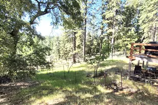 25750 Aspen Ct, Volcano, CA 95689 - Photo 18