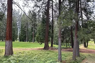 1128 Fairway Ct, Murphys, CA 95247 - Photo 34