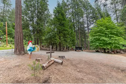 26742 High Trees Drive, Pioneer, CA 95666 - Photo 52