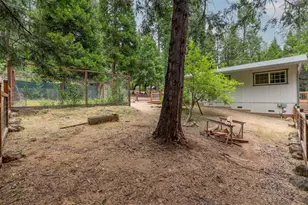 26742 High Trees Dr, Pioneer, CA 95666 - Photo 46