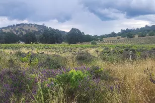 21424 Shenandoah School Rd, Plymouth, CA 95669 - Photo 8