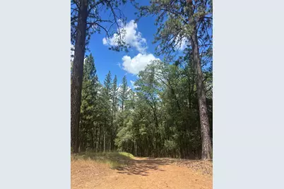 21109 Adamson Drive, Grass Valley, CA 95949 - Photo 8
