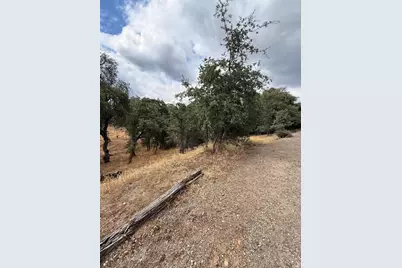 10357 Tulipan Way, Coulterville, CA 95311 - Photo 2