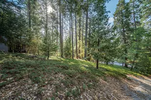 51 Canterwood Ln, Murphys, CA 95247 - Photo 1