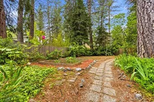 348 Clay St, Nevada City, CA 95959 - Photo 38