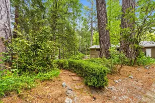348 Clay St, Nevada City, CA 95959 - Photo 42