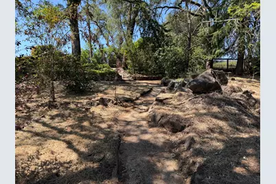 231 Boarman Street, Jackson, CA 95642 - Photo 64