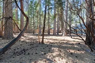 7363 Shasta Forest Dr, Shingletown, CA 96008 - Photo 28