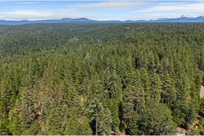 7363 Shasta Forest Drive, Shingletown, CA 96008 - Photo 44