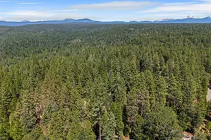 7363 Shasta Forest Dr, Shingletown, CA 96008 - Photo 44