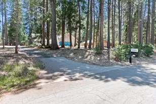 7363 Shasta Forest Dr, Shingletown, CA 96008 - Photo 36