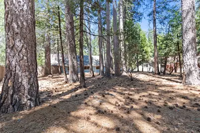 7363 Shasta Forest Drive, Shingletown, CA 96008 - Photo 26