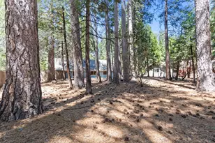 7363 Shasta Forest Dr, Shingletown, CA 96008 - Photo 26