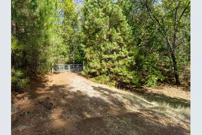 5031 Anne Louise Lane, Placerville, CA 95667 - Photo 4