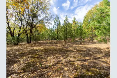 5031 Anne Louise Lane, Placerville, CA 95667 - Photo 2