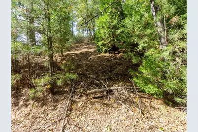 5031 Anne Louise Lane, Placerville, CA 95667 - Photo 6