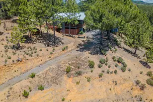 5595 Jasper Ridge Rd, Murphys, CA 95247 - Photo 70