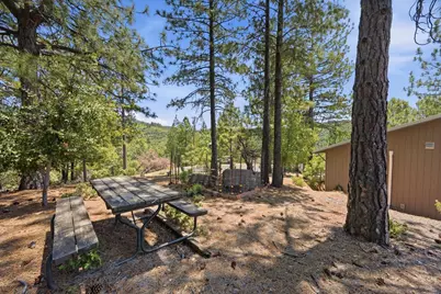 5595 Jasper Ridge Road, Murphys, CA 95247 - Photo 66