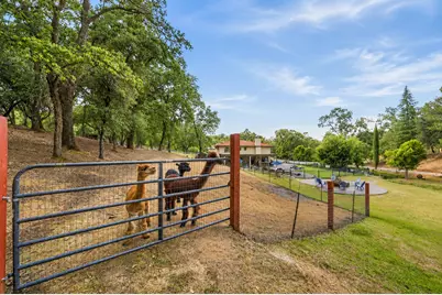 3340 Garden Bar Road, Lincoln, CA 95648 - Photo 12