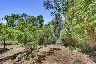 15875 Shannon Way, Nevada City, CA 95959 - Photo 12