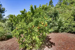 16104 Fairway Glen Pl, Grass Valley, CA 95949 - Photo 76