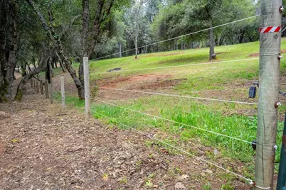 10 Acres Hollow Lane, Greenwood, CA 95635 - Photo 12