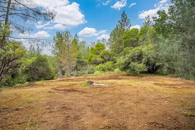 10 Acres Hollow Lane, Greenwood, CA 95635 - Photo 18