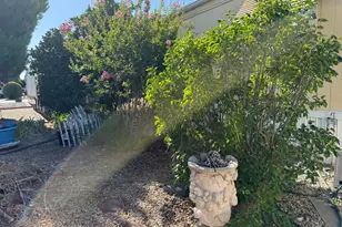 Magnolia, Sacramento, CA 95828 - Photo 42