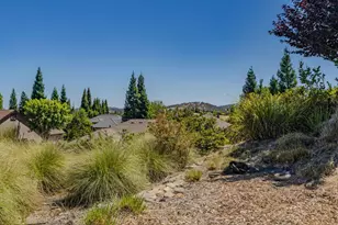 171 Quail Meadow Ct, Copperopolis, CA 95228 - Photo 58