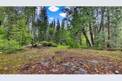 0 Texas Hill Rd, Emigrant Gap, CA 95715 - Photo 10