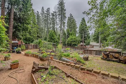 26397 Parkwood Drive, Pioneer, CA 95666 - Photo 54