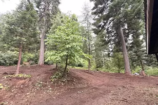 16859 Wyatt Earp Rd, Nevada City, CA 95959 - Photo 50