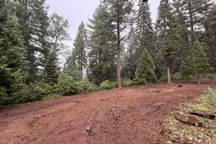 16859 Wyatt Earp Rd, Nevada City, CA 95959 - Photo 46