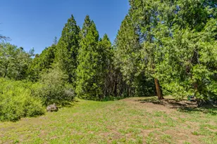 15853 Schaefer Ranch Rd, Pioneer, CA 95666 - Photo 44