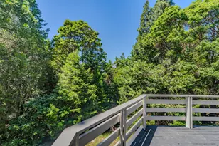15853 Schaefer Ranch Rd, Pioneer, CA 95666 - Photo 50