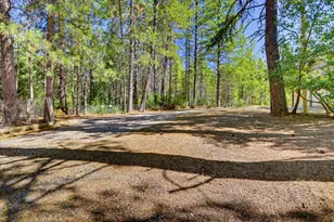 662 Nevada St, Nevada City, CA 95959 - Photo 74