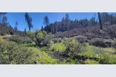 2400 White Rock Road, Platina, CA 96076 - Photo 1