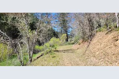 2400 White Rock Road, Platina, CA 96076 - Photo 4