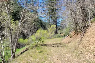 2400 White Rock Rd, Platina, CA 96076 - Photo 4
