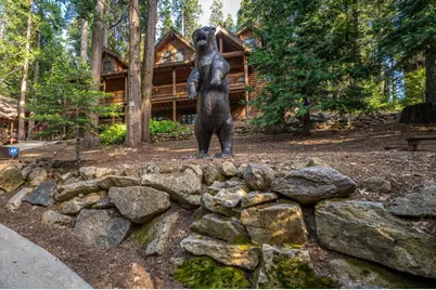 3716 Shoshone Drive, Camp Connell, CA 95223 - Photo 42