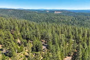 27879 State Hwy 88, Pioneer, CA 95666 - Photo 56