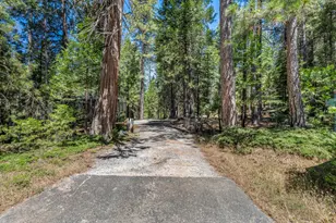 27879 State Hwy 88, Pioneer, CA 95666 - Photo 54