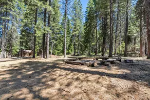 27879 State Hwy 88, Pioneer, CA 95666 - Photo 52