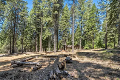 27879 State Highway 88, Pioneer, CA 95666 - Photo 52