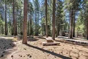27879 State Hwy 88, Pioneer, CA 95666 - Photo 50