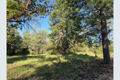 9030 Orval Beckett Court, Placerville, CA 95667 - Photo 2