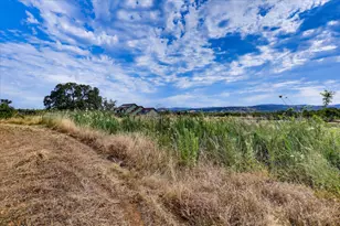 10203 Reedy Dr, Browns Valley, CA 95901 - Photo 76
