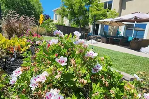 8020 Damico Dr, El Dorado Hills, CA 95762 - Photo 28