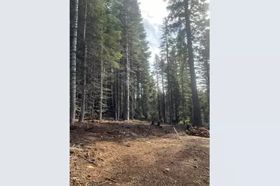 1116 Highlands Rd, Quincy, CA 95971 - Photo 24